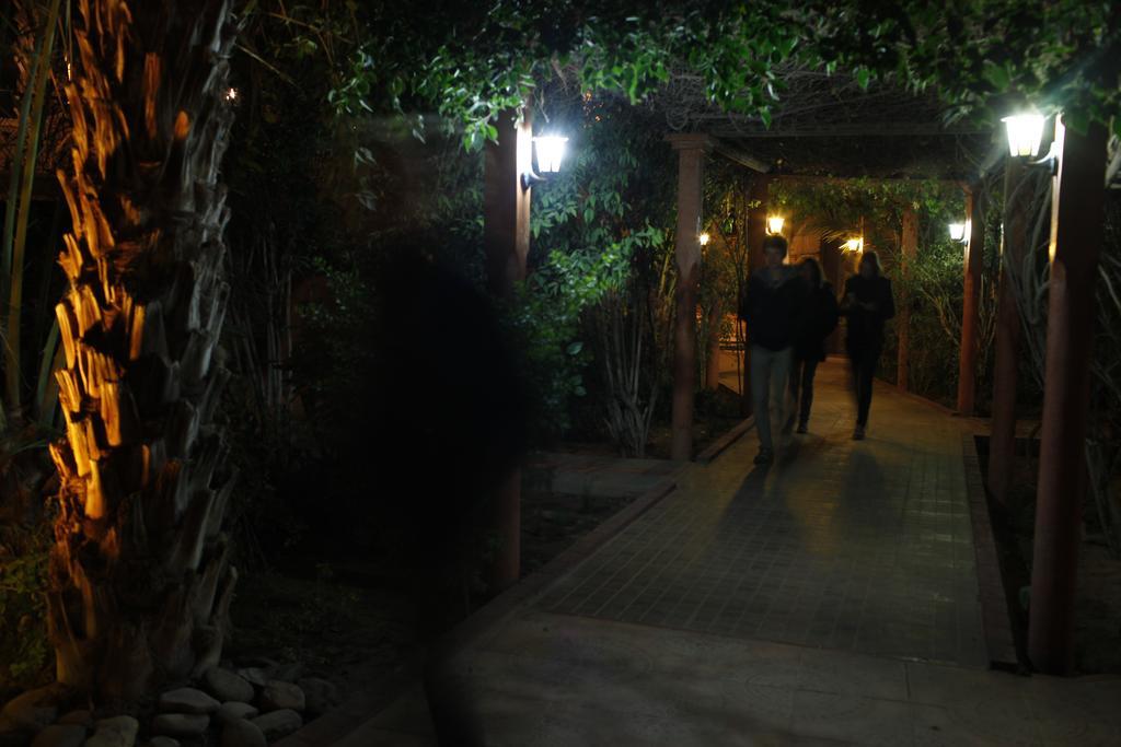 Fibule Du Draa Kasbah D'Hotes Zagora Exterior photo