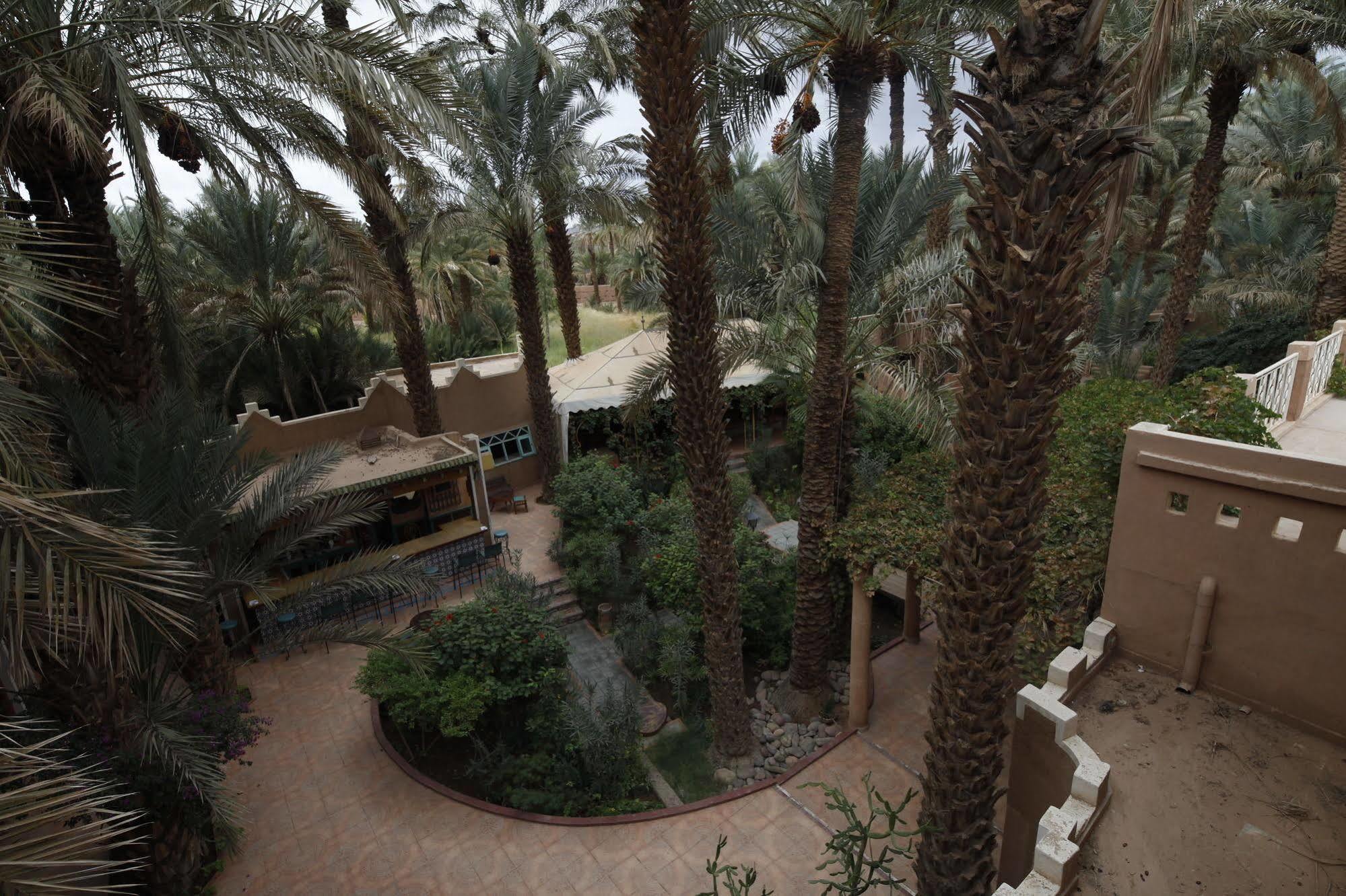 Fibule Du Draa Kasbah D'Hotes Zagora Exterior photo