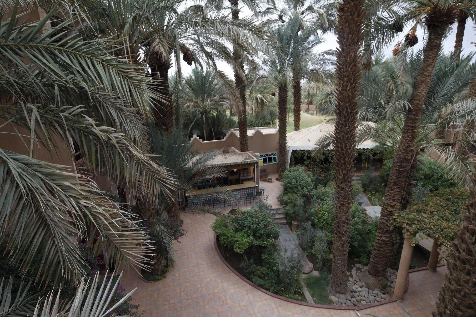 Fibule Du Draa Kasbah D'Hotes Zagora Exterior photo