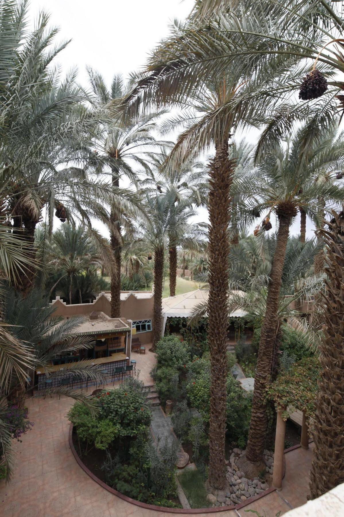 Fibule Du Draa Kasbah D'Hotes Zagora Exterior photo